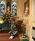 Christmas Tree Festival