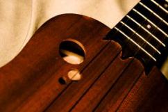 Ukulele image by Neal Yanito