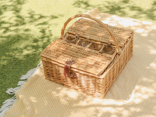 Picnic