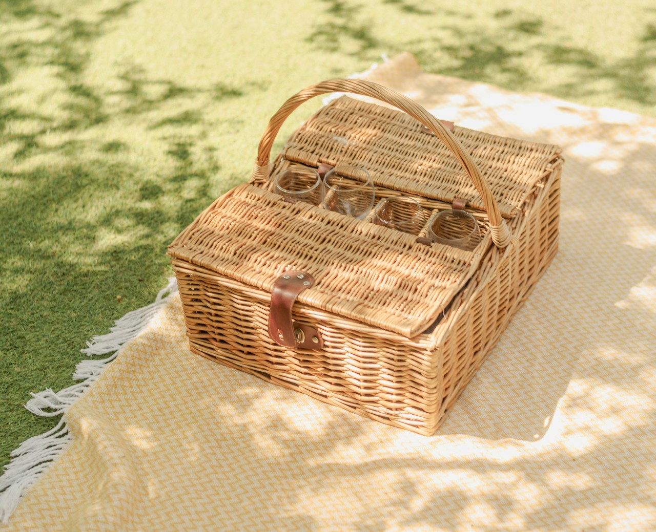 Picnic