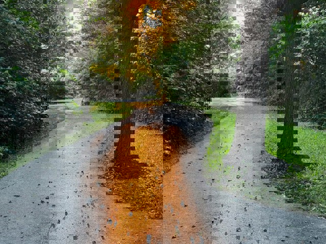 Pathlight Photo by Mark Ashford on Unsplash