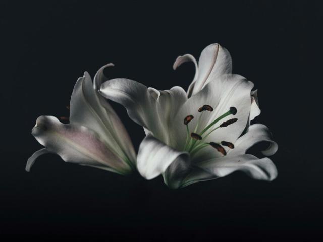 Photo by Annie Sprat (38yKQLL11d8) on Unsplash