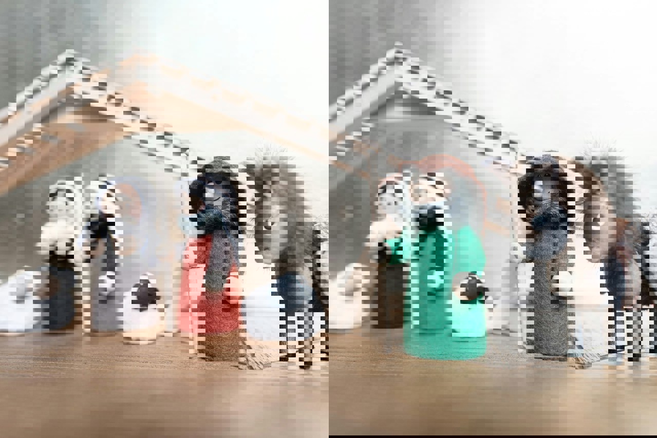 Nativity (holding pic)